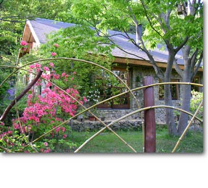 ���}�c�c�W�ƐV��