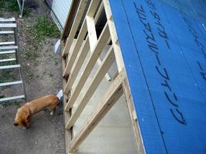 �����Ƀ��[�t�B���O�������ĂЂƗ�������