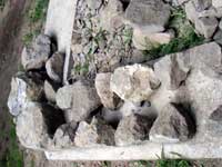 �΂̉��g��