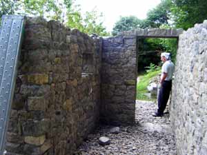 �����̓���