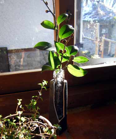 �����̂��߉ԕr�̐��������Ċ���Ă��܂���