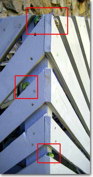 �{���x�J�o�[�̊p�ɏW�����Ă���A�}�K�G������