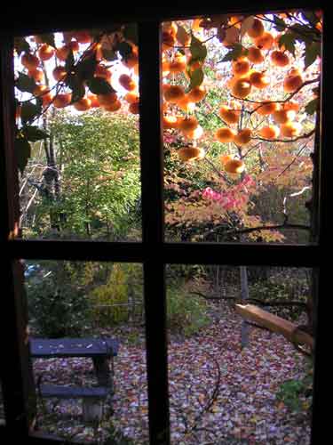 ���z���̊����`