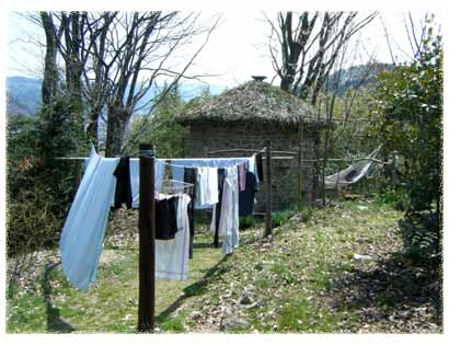 ��������ǍD�ƂȂ�����������