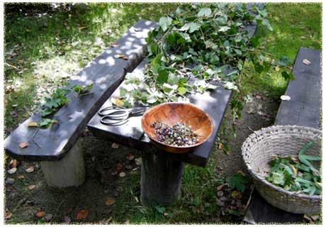 �̎悵�Ă����m�u�h�E