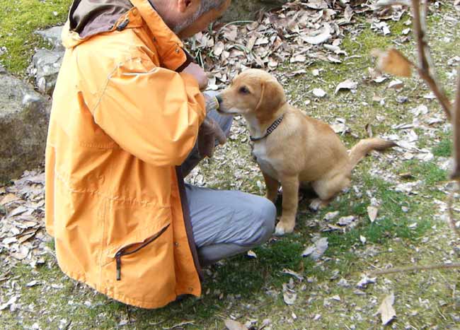 �u�炭�v������Ă���