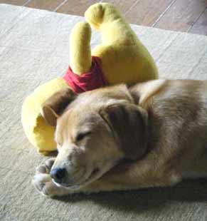 �v�[�ƐQ��炭