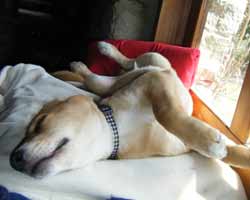 �������Q