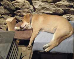 �d�X�g�[�u�A���ԊO�����Q