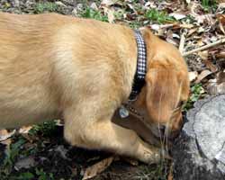 ���@��@��