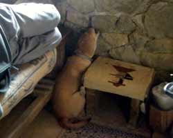 �ΕǁA�J�W�J�W