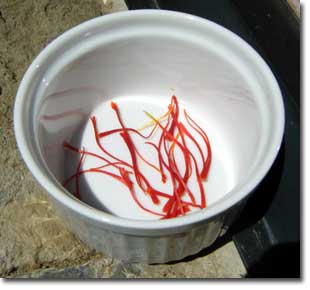 �T�t�����̂߂��ׁA�����O