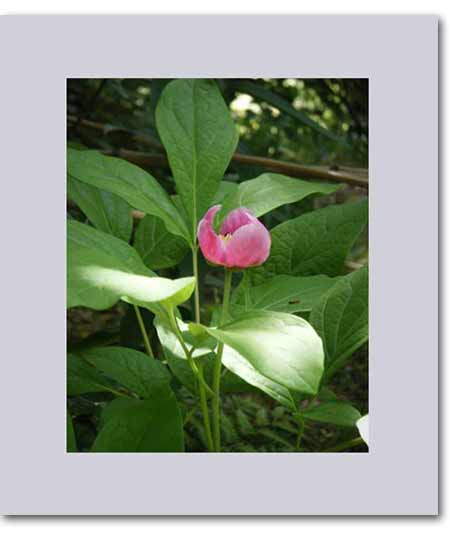 �������������ރx�j���}�V���N���N