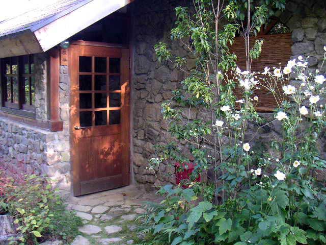 ���֑O�ɍ炭�V���E���C�M�N