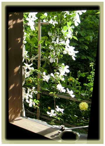 �X�m�[�t���[�N�z���ɗ[�����������ސ����̑�