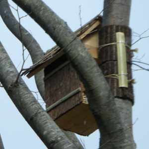 ���������t�����Ƃ�����ォ�猩���摜