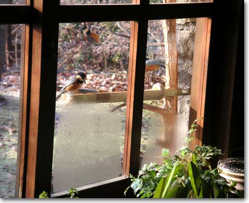 ���ӂ̉a��̃��}�K��