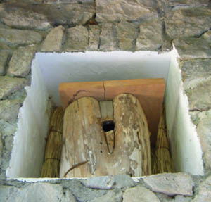 ���̑������{��