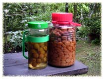 �~���Ɣ~�W���[�X