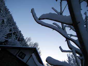 �g�i�J�C�̊p�̂悤�Ȑ�̌`