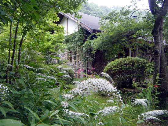 �I�J�g���m�I���炫���낤