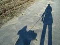 �e���y���ގU��