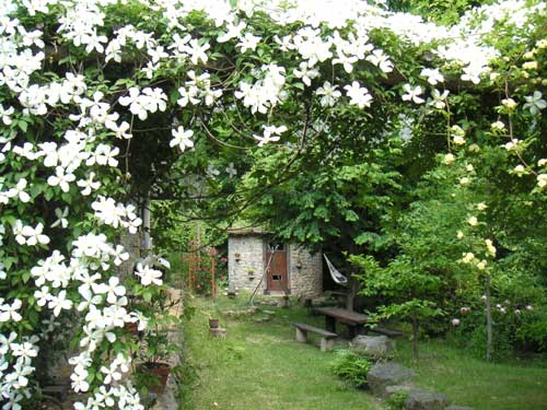 庭師のつくる田舎暮しの風景 クレマチス スノーフレークのアーチ